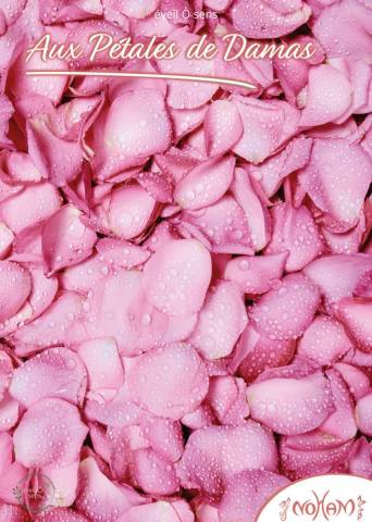 Voyage aux ptales de roses de Damas